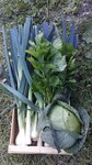 Légumes du postager